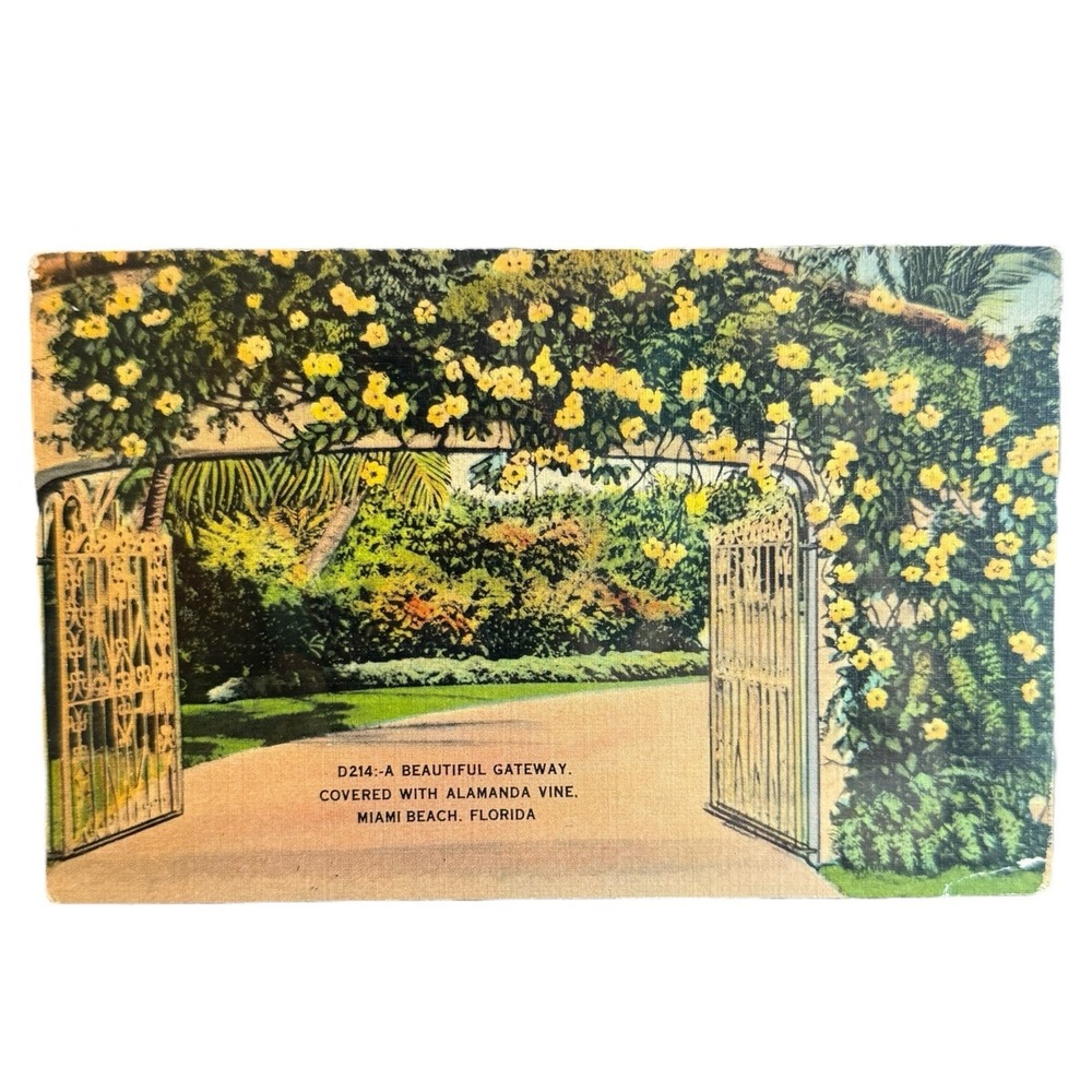 Vintage Linen Postcard Miami Beach Florida‎ Gateway Covered in Alamanda Vine